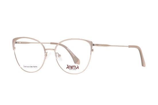 Imagen de ANIMA 4139 ROSEGOLD BEIGE 55-17-140